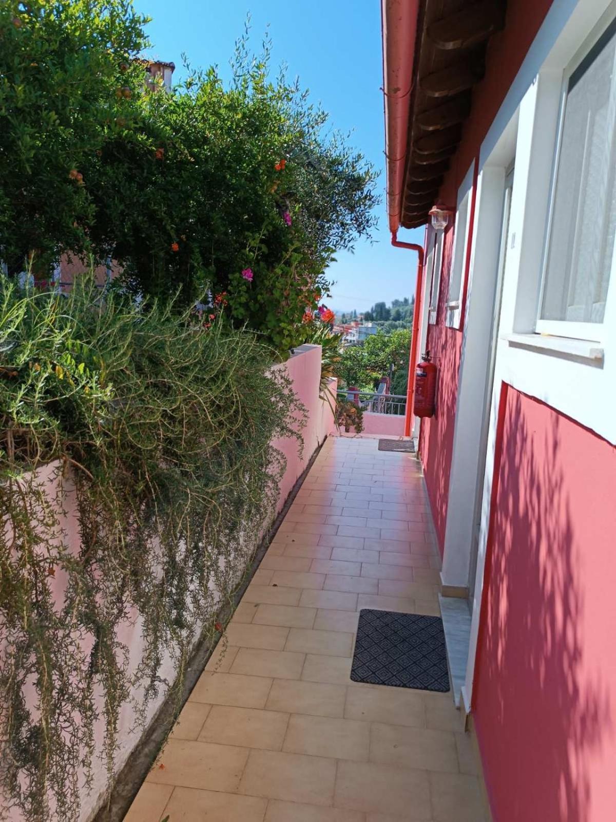 Skevoulis Studios Benitses  Buitenkant foto